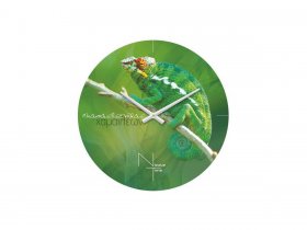 Часы настенные Nicole Time NT503 в Тогучине - toguchin.mebel-nsk.ru | фото